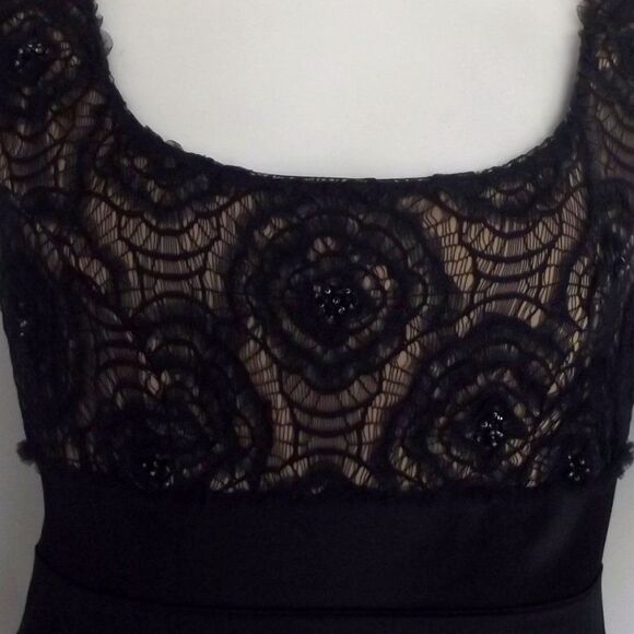 TADASHI Dress, 12, Blue/Tan lace, Bandage Skirt, Scoop neck, Cap sleeves - Picture 2 of 14